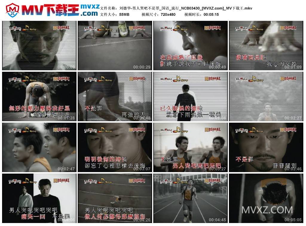 刘德华-男人哭吧不是罪_国语_流行_NCB03430